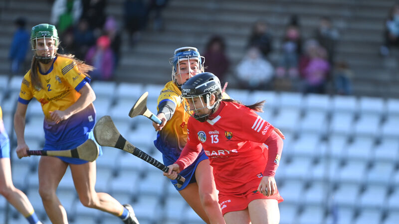 Linda Mellerick on camogie: Cork must lay down a marker after league final loss