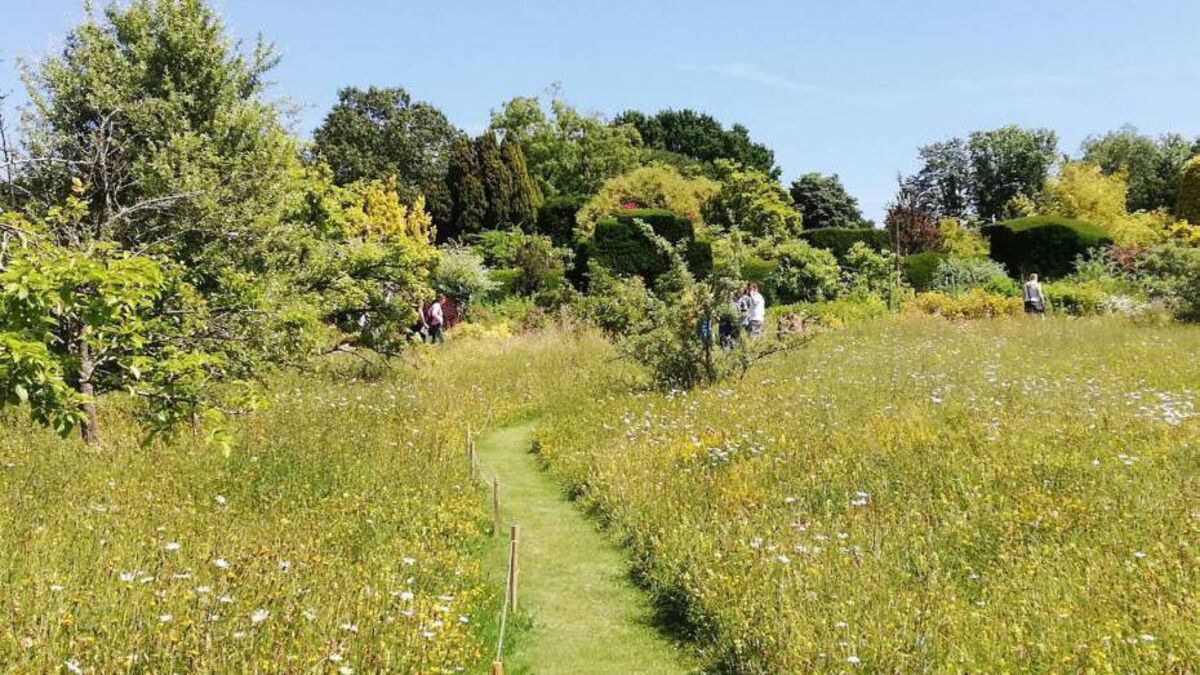 10 ways to be greener in your garden