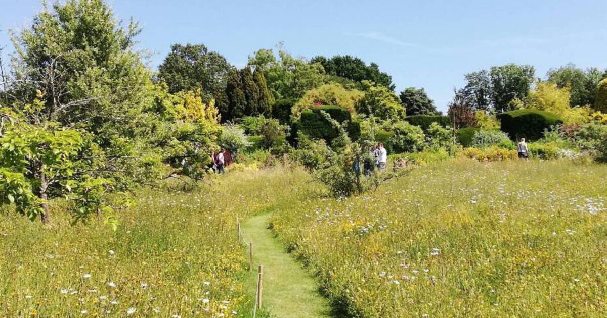 10 ways to be greener in your garden - Vimarsana News
