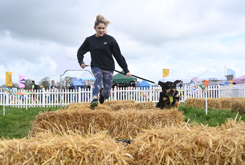  Dogs and dog-owners tackle the hay bale jumps at 'Pups in the Park' at Cork Showgrounds. Pic: Larry Cummins
