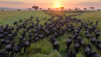 Netflix releases first trailer for Sir David Attenborough’s Our Planet II
