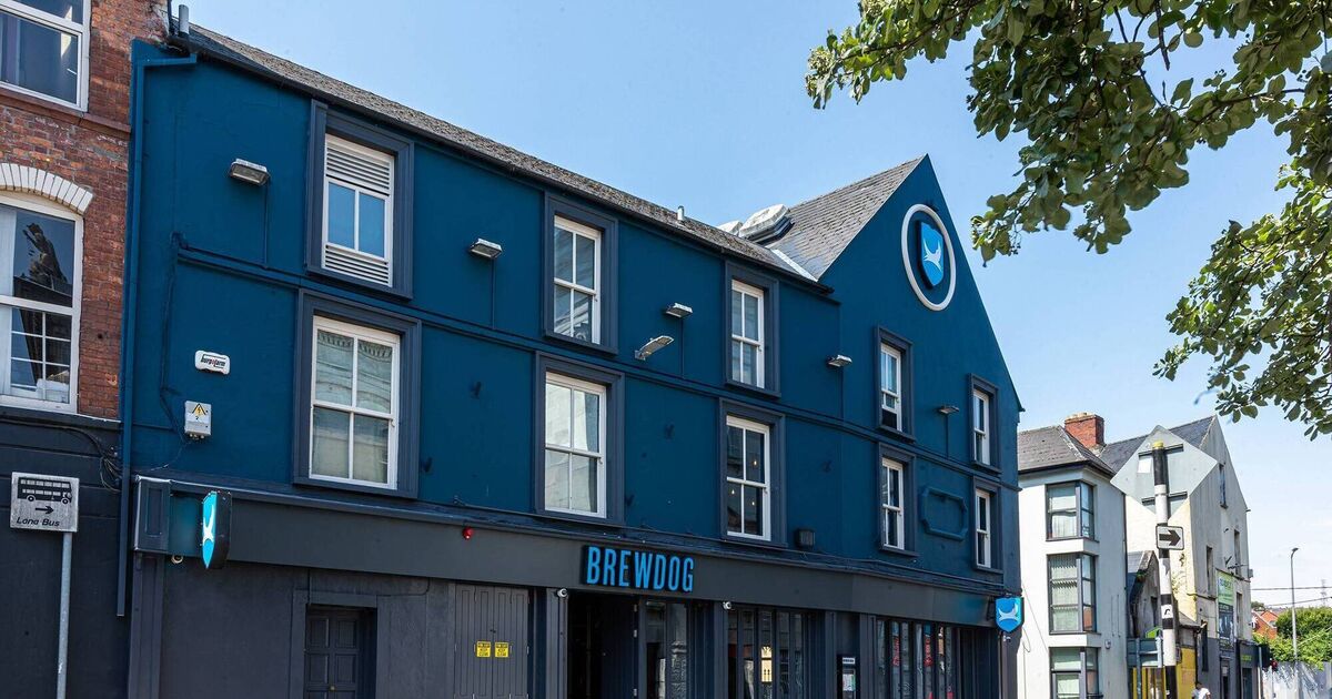 Cork's Brewdog closes after just nine months - Vimarsana News
