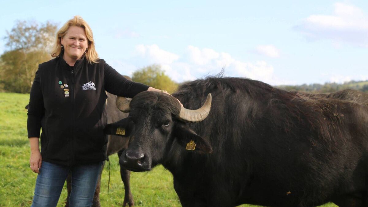 Meet the woman behind tours of Cork's buffalo farm