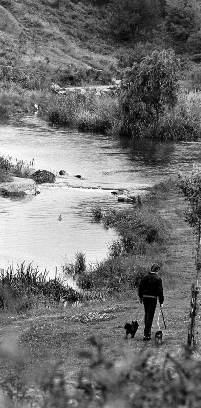 The recreation park at Gouldings Glen, Cork, in 1985. Generations of northside children played here and were introduced to the wildlife therein. The recreation park at Gouldings Glen, Cork, in 1985. Generations of northside children played here and were introduced to the wildlife therein.