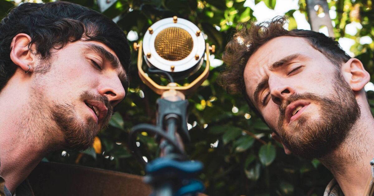 Sounds from a Safe Harbour announce first headline acts for festival - Vimarsana News