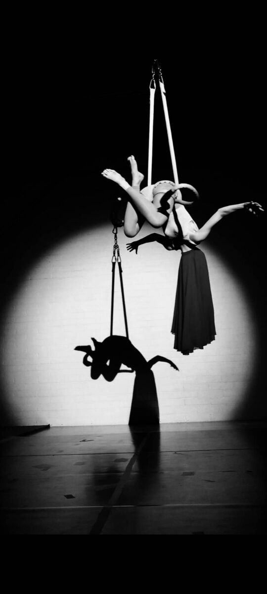 Lidija on Trapeze. Picture: David Hegarty Lidija on Trapeze. Picture: David Hegarty
