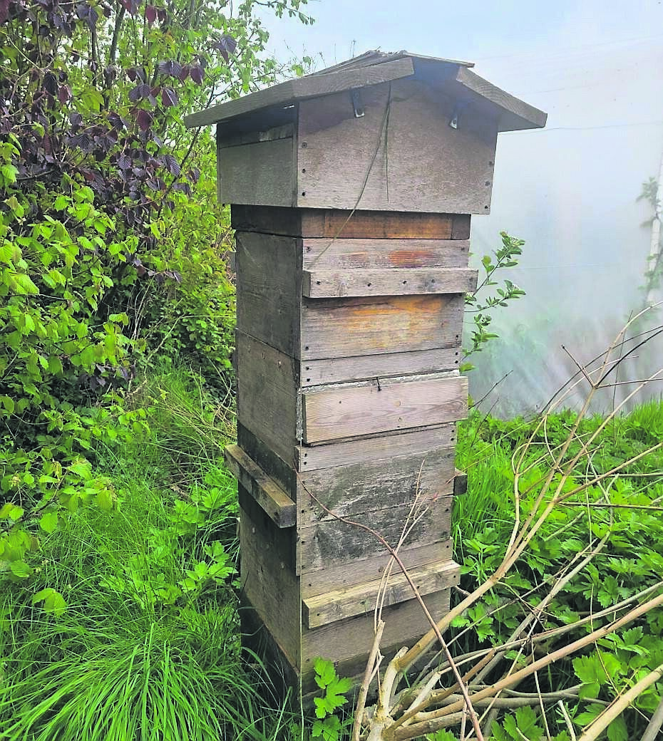 Warre hives at Dunmore Country School in Laois require minimal intervention Warre hives at Dunmore Country School in Laois require minimal intervention