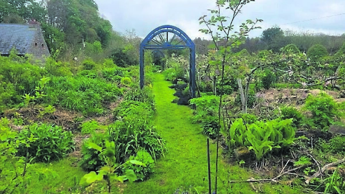 How to create a fab garden that’s at one with nature