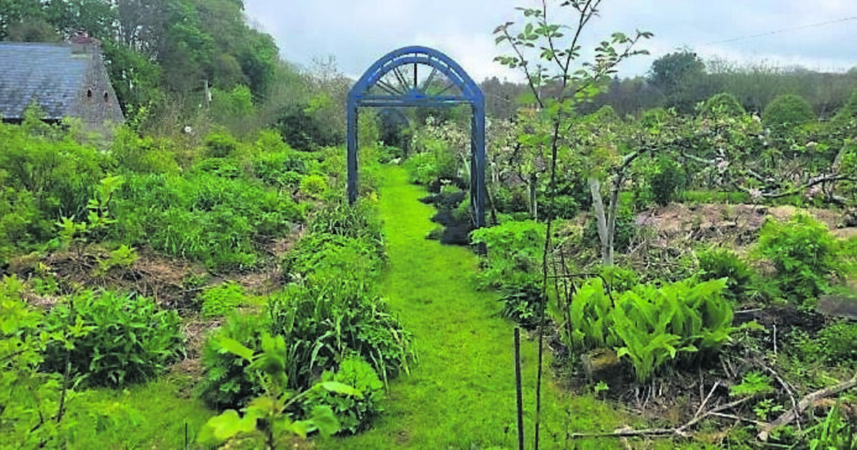 How to create a fab garden that's at one with nature - Vimarsana News