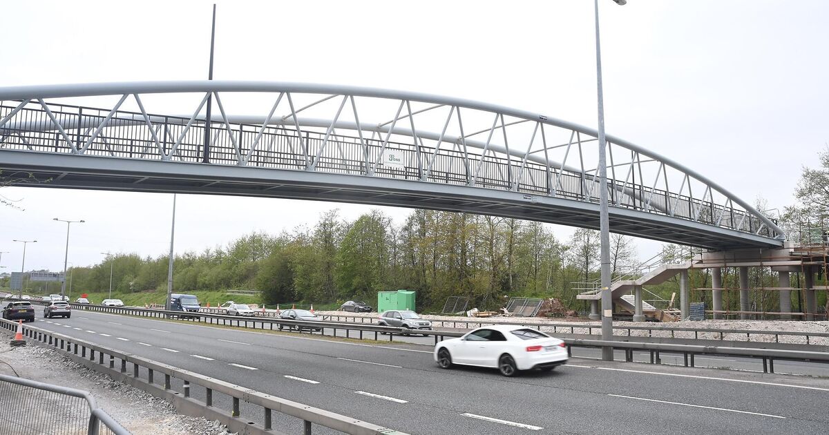 The history of three historic bridges in Cork city explored - Vimarsana News