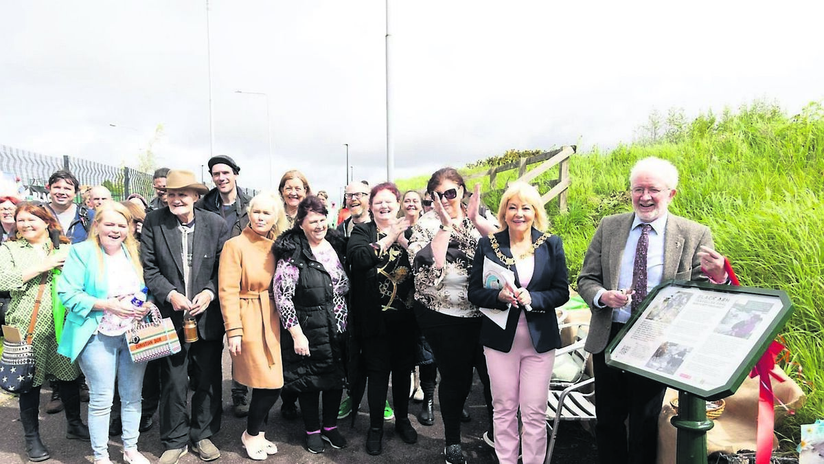 Cork City gets its first Traveller heritage sign