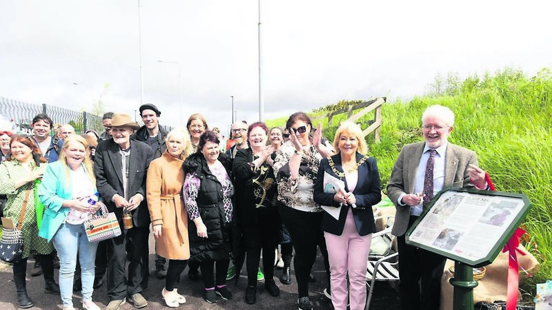 Cork City gets its first Traveller heritage sign