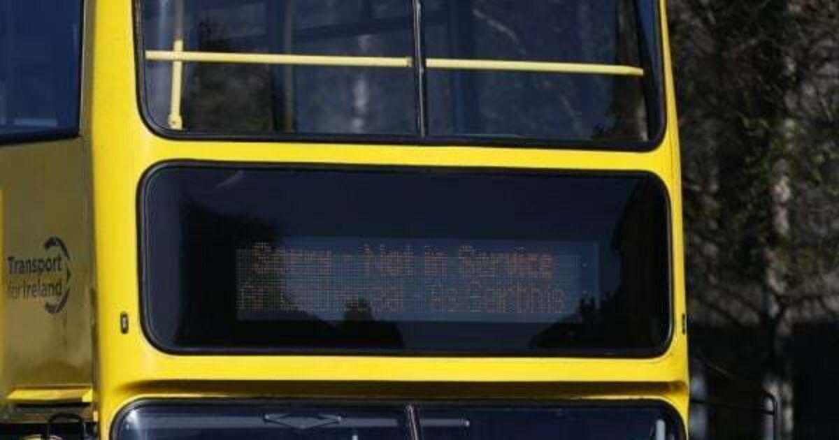 Dublin Bus docked €8 million from budget due to punctuality issues - Vimarsana News