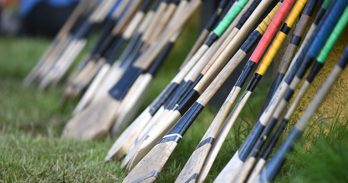 Video of violent scenes at U14 hurling match in Cork goes viral