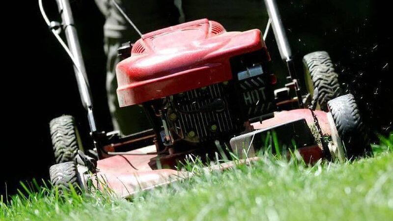 No Mow May - what's not to like for those of us who are guilty gardeners?