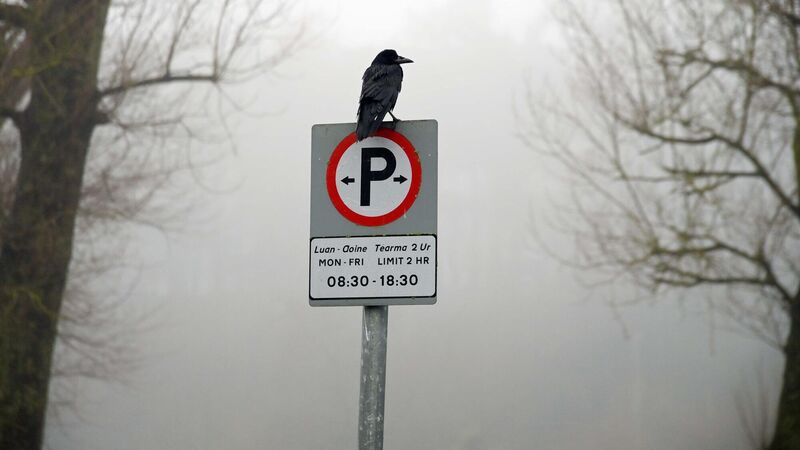 City Development Plan amended to allow more parking
