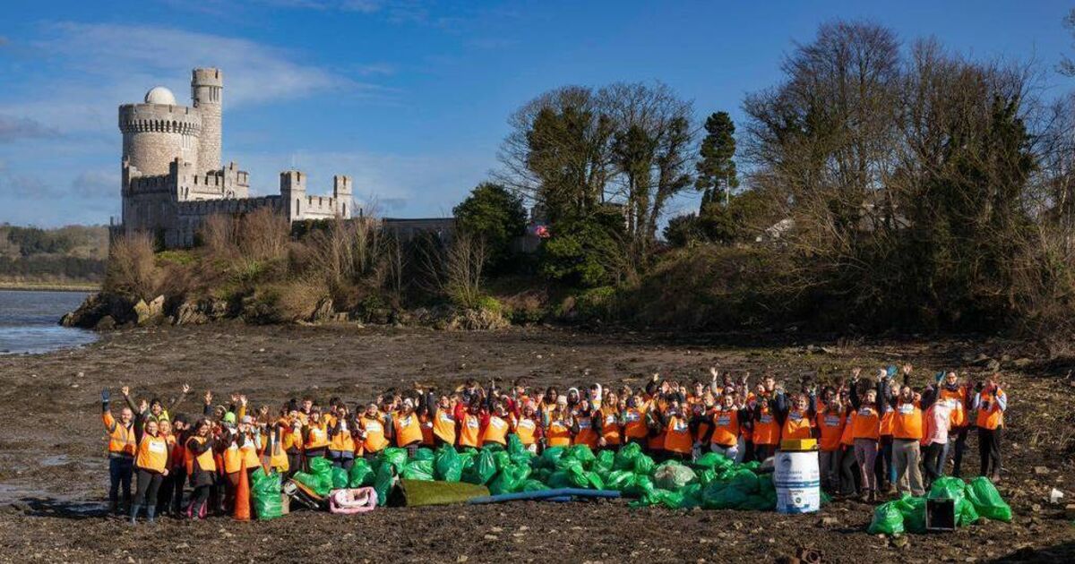 Cork people urged to protect Ireland's oceans on World Ocean Day - Vimarsana News