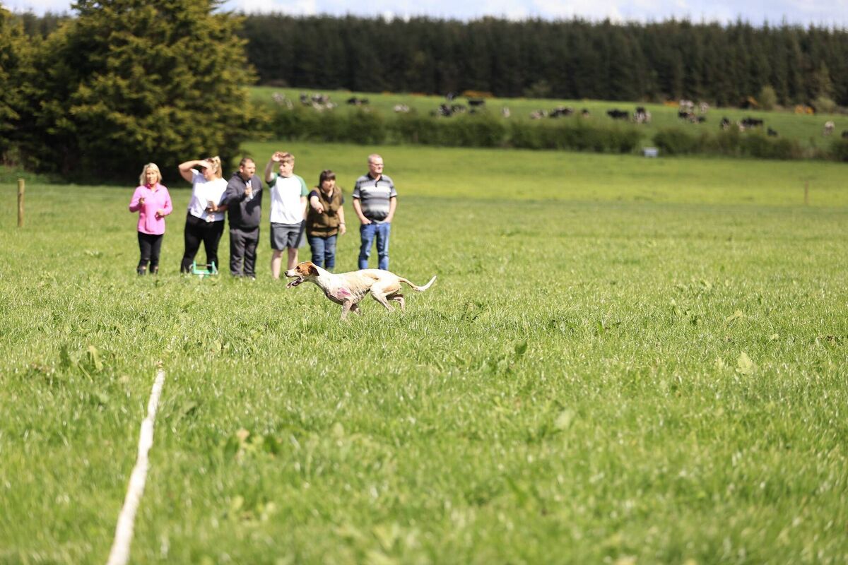 Authority of Northern Hunt winning the Garry O'Sullivan memorial Senior draghunt at Shanlyre