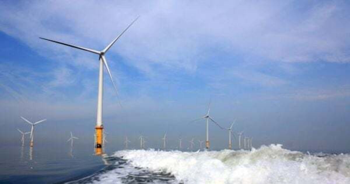 Four projects awarded contracts in Ireland's first offshore wind energy auction - Vimarsana News