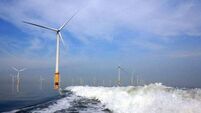 Four projects awarded contracts in Ireland's first offshore wind energy auction