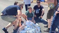 Dublin Fire Brigade members save the life of seriously injured motorcyclist in Spain