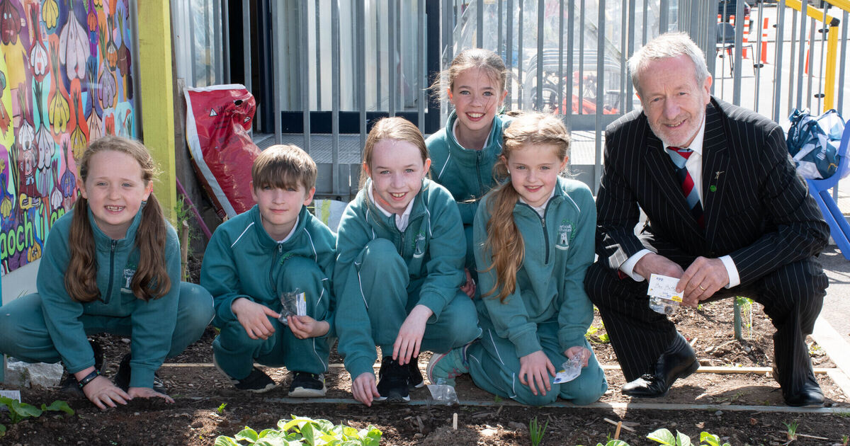 Pictures: Ballincollig school receives award for EU activities and projects - Vimarsana News