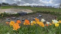 Ballina community project shortlisted for prestigious new EU prize