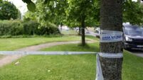 Suspected gang attack leaves Dublin teenager in serious condition