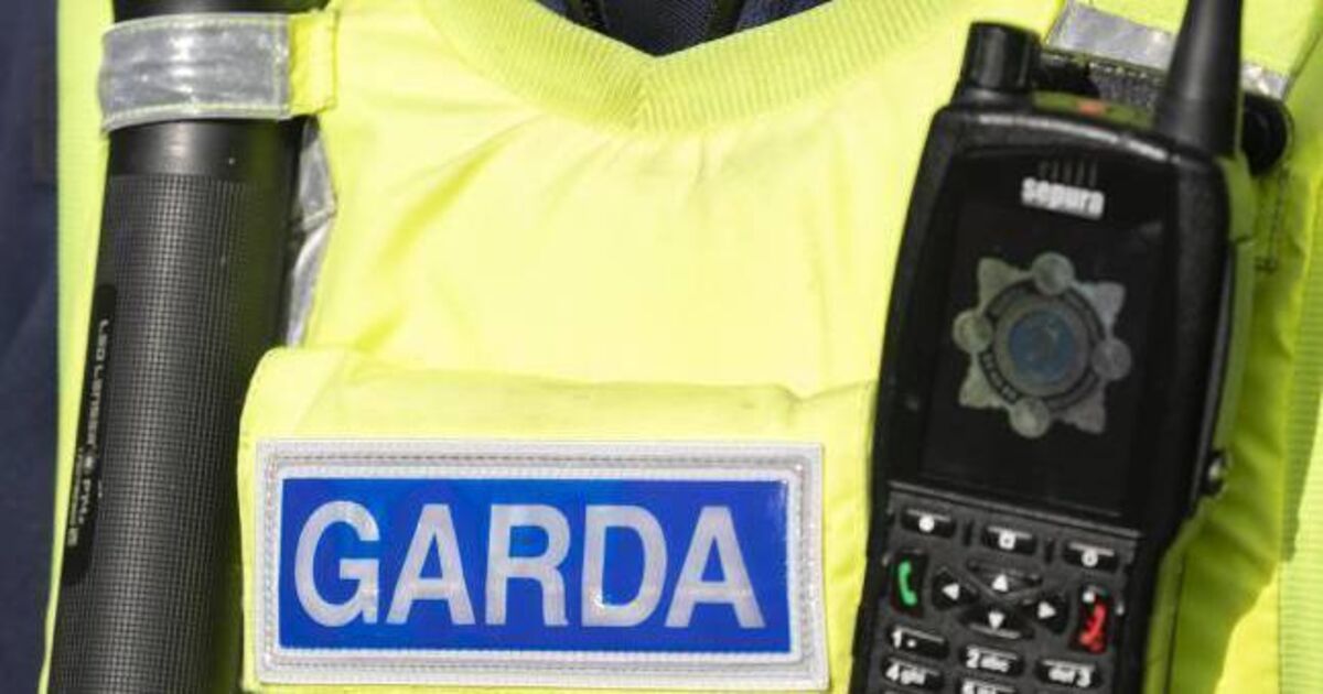 Jail for Cork man who sped from drug deal with Garda hanging from side of car - Vimarsana News