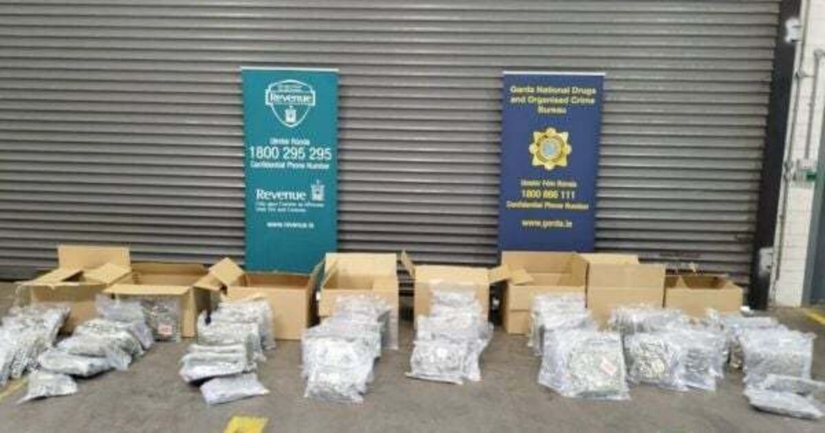 Herbal cannabis worth more than €1m seized in Dublin - Vimarsana News
