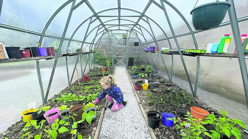 We added a polytunnel to our garden - here's how it's going... We added a polytunnel to our garden - here's how it's going...