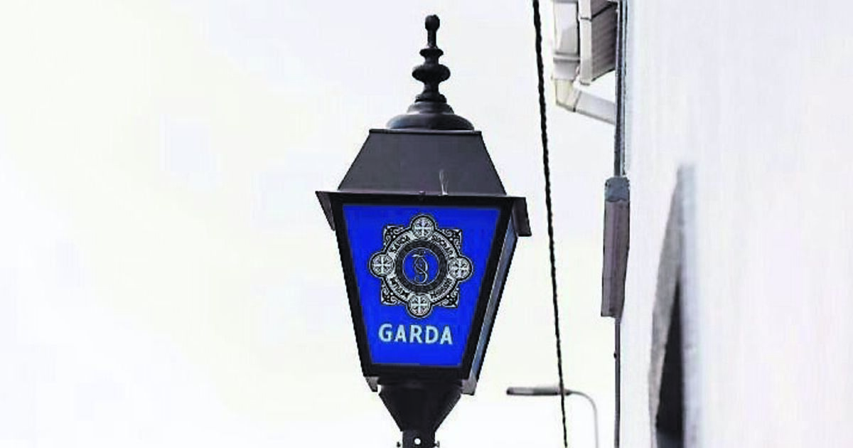 Ailin Quinlan: Are the gardaí losing the streets? - Vimarsana News