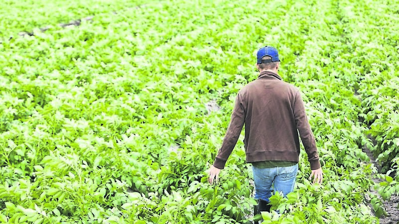 We import a lot of our food... we need a food revolution