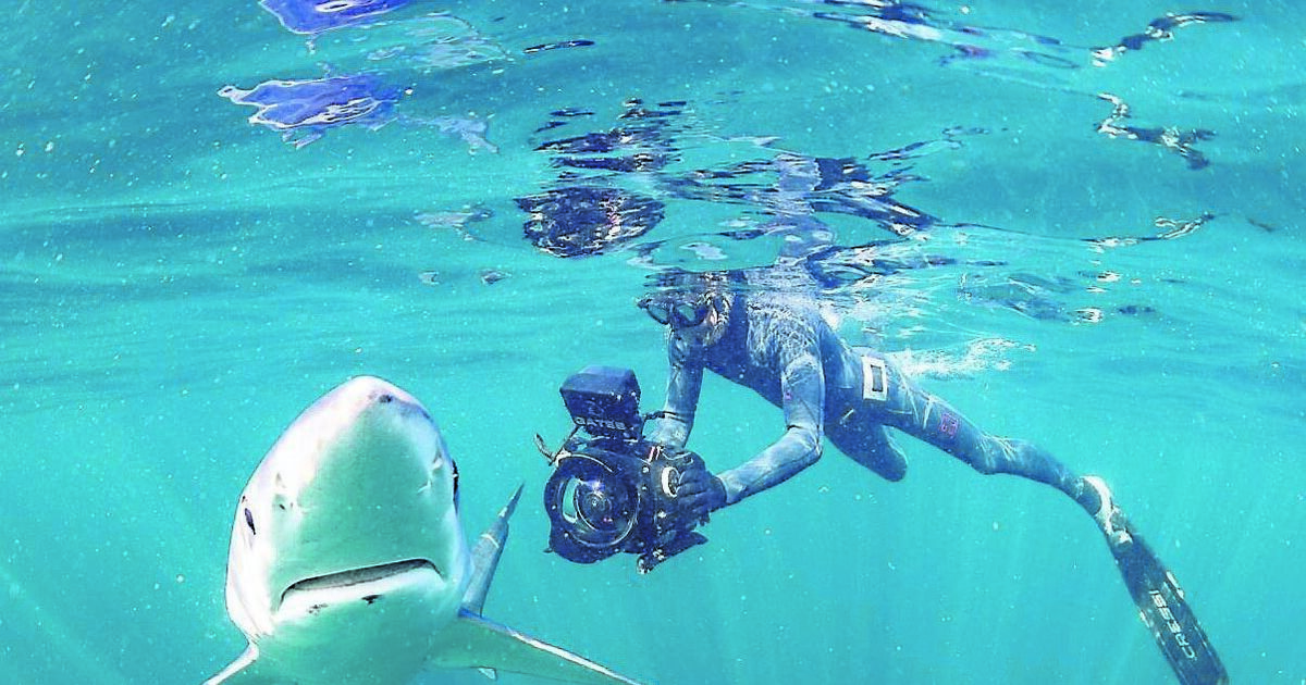 RTÉ series dives into ocean depths off Cork coast - Vimarsana News