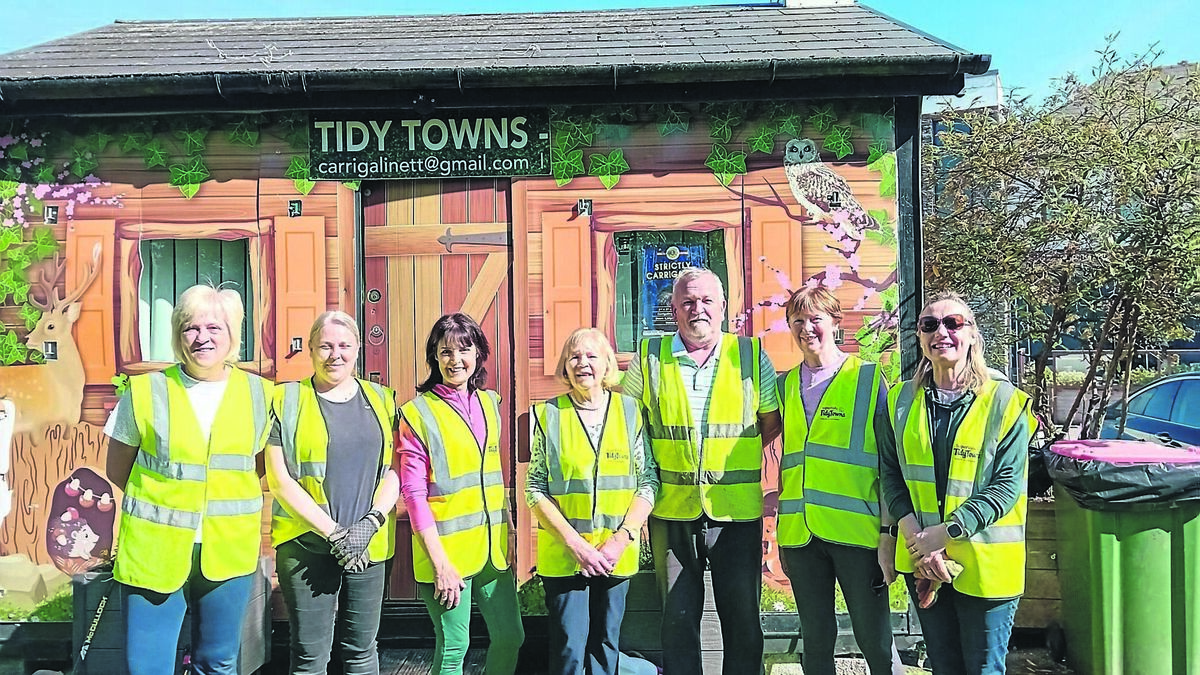 Heroes in hi-vis! My stint with Carrigaline Tidy Town volunteers