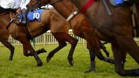 Horse Racing Ireland says industry being hammered by rising insurance costs