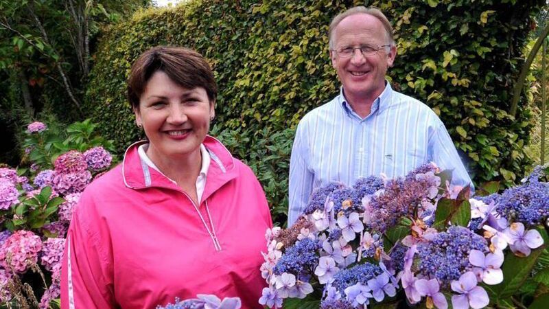 In the Garden: A haven of green to visit in Glanmire In the Garden: A haven of green to visit in Glanmire