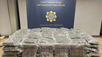 Arrest made after almost €4m worth of cannabis seized in Balbriggan