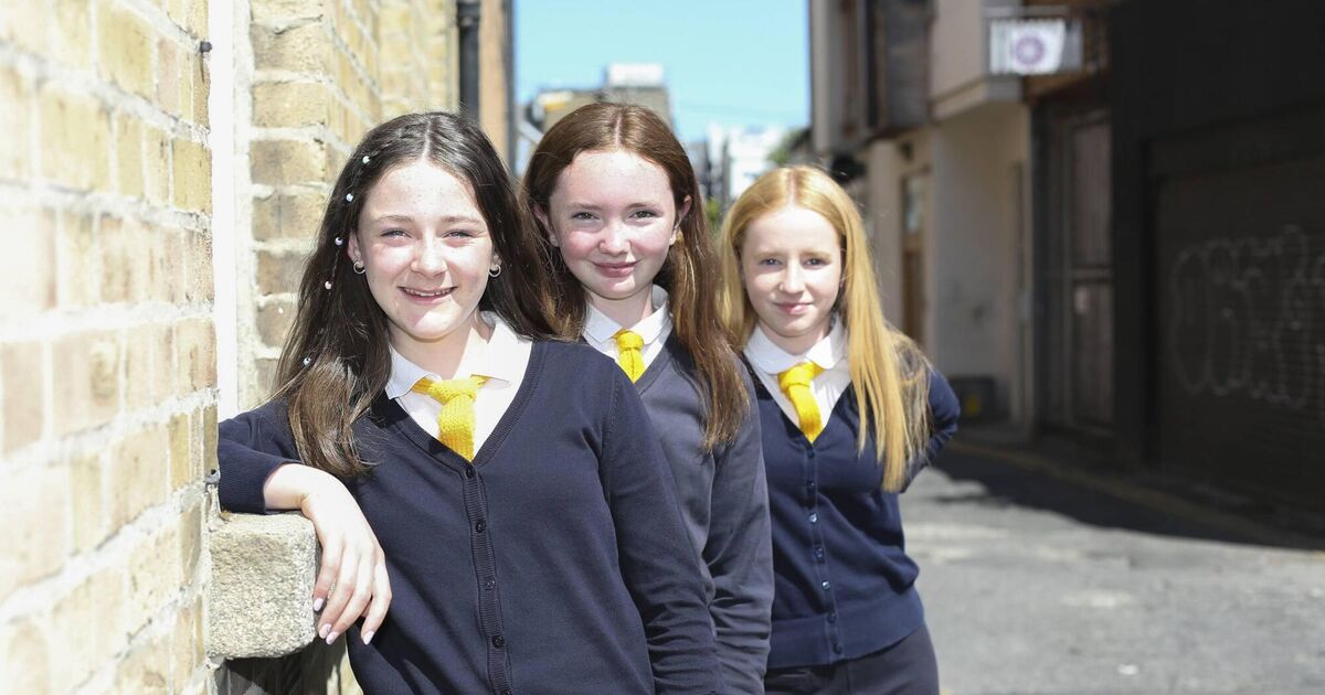 Cork primary school reaches all-island debating final - Vimarsana News