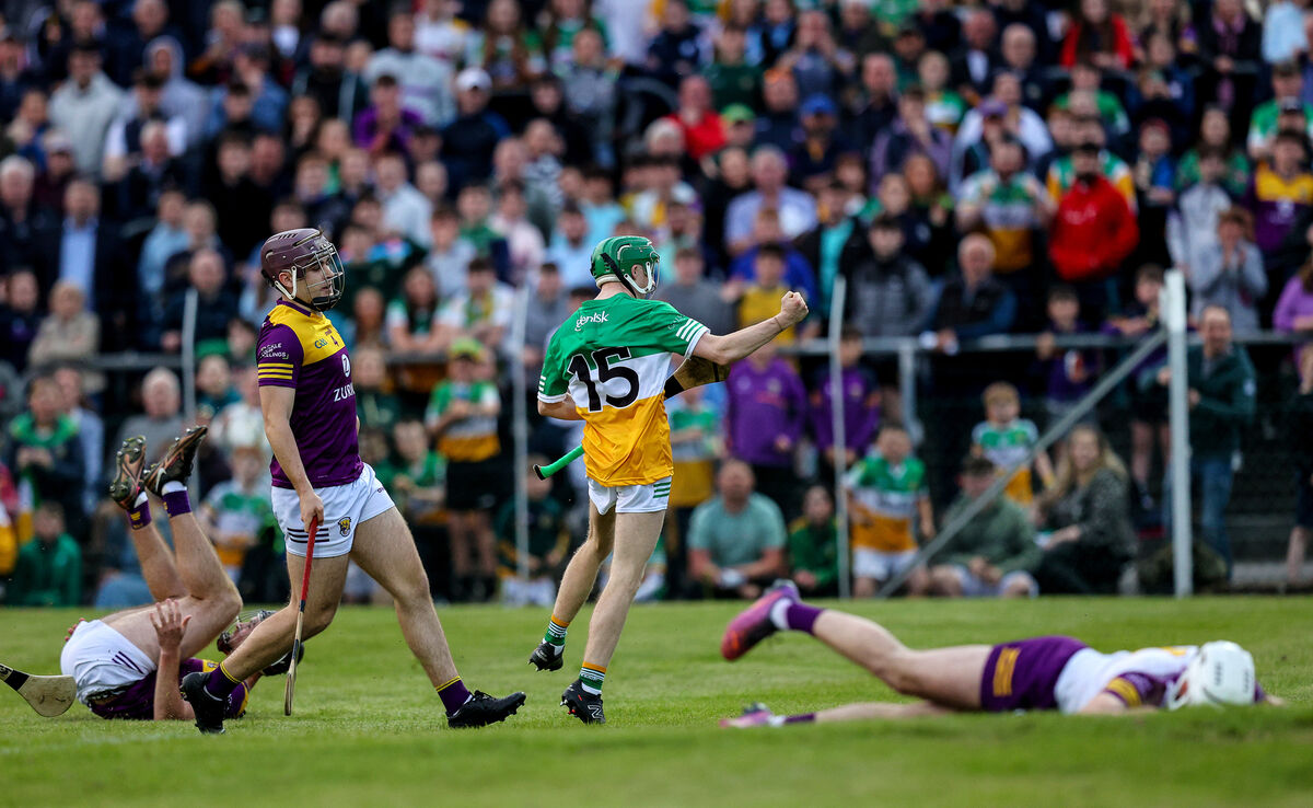 Adam Screeney celebrates after scoring against Wexford. Picture: Ryan Byrne Adam Screeney celebrates after scoring against Wexford. Picture: Ryan Byrne