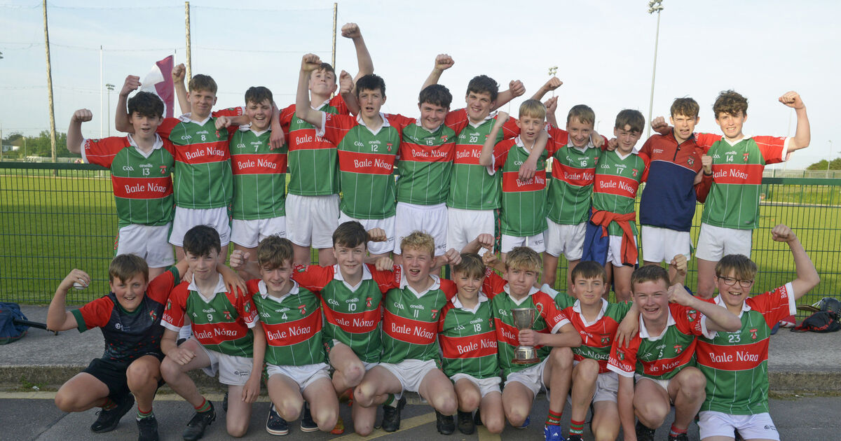 Cormac Murphy hits 28 as Ballinora claim Premier 2 U14 hurling title