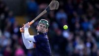 Tipperary goalkeeper thankful as hurley is returned after it was taken on Sunday