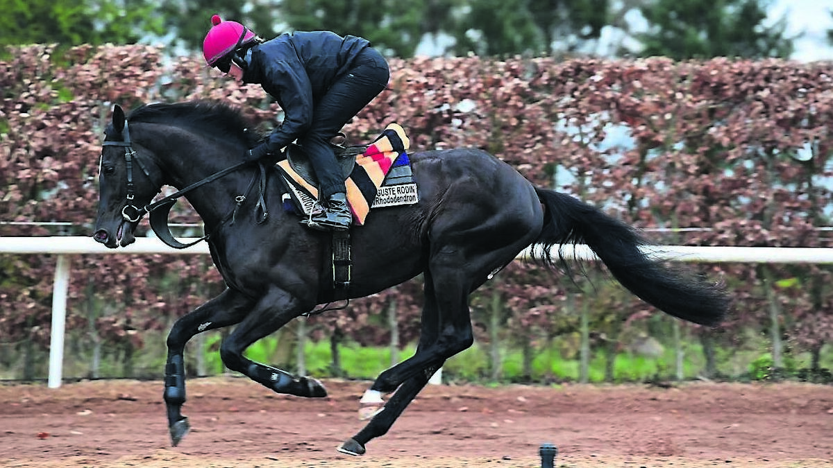 The Longshot: Rodin one to muse on for the Epsom Derby