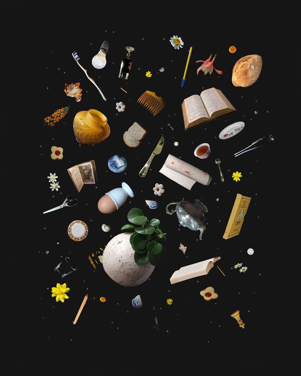 Elinor O'Donovan, Beautiful Cosmos, Digital print, 2023 