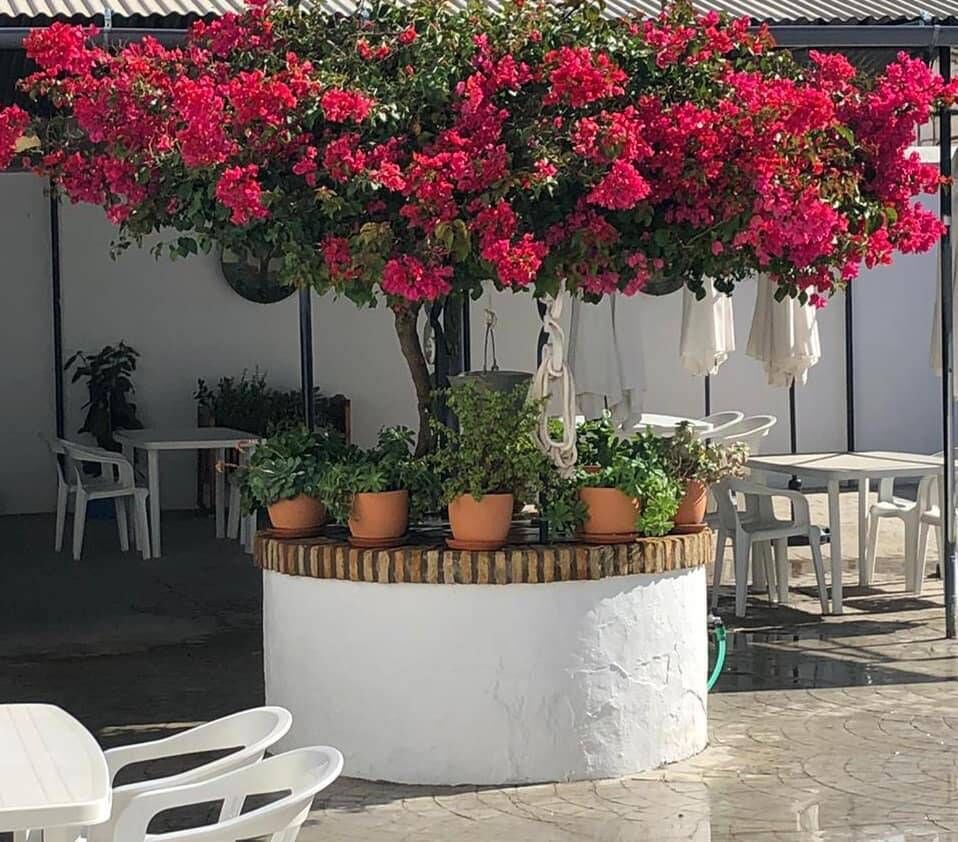‘Restaurante la Cocina De Mi Suegra, in Seville.