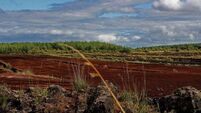 Ireland tries to water down EU nature law, document reveals