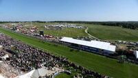 Animal activists pledge to shut down Epsom on Derby day