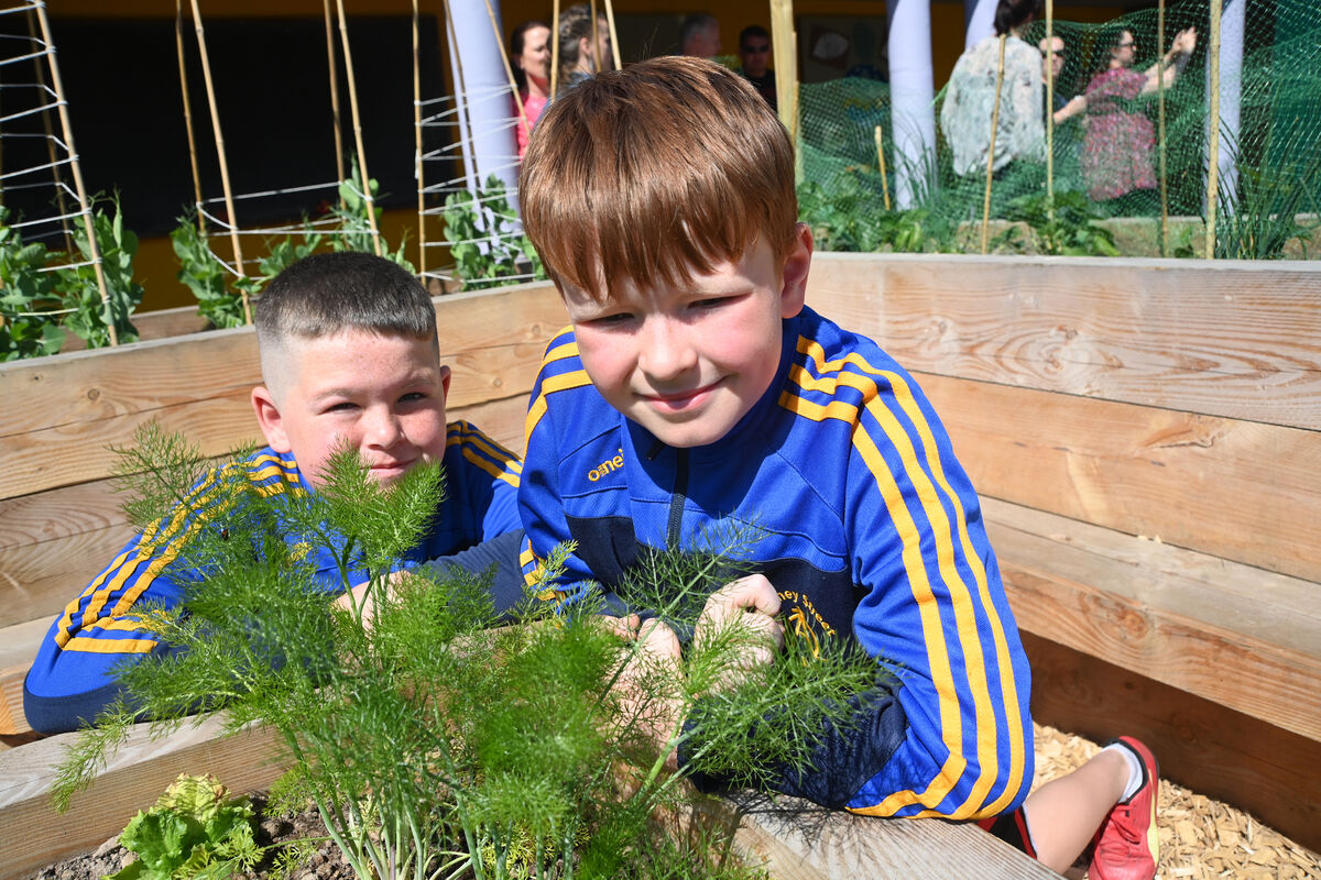 The boys and girls of Blarney CBS have a fabulous new school garden of raised beds with fruit and vegetables growing. Emmet Fitzpatrick and Jacob McNamara. Pic Larry Cummins The boys and girls of Blarney CBS have a fabulous new school garden of raised beds with fruit and vegetables growing. Emmet Fitzpatrick and Jacob McNamara. Pic Larry Cummins