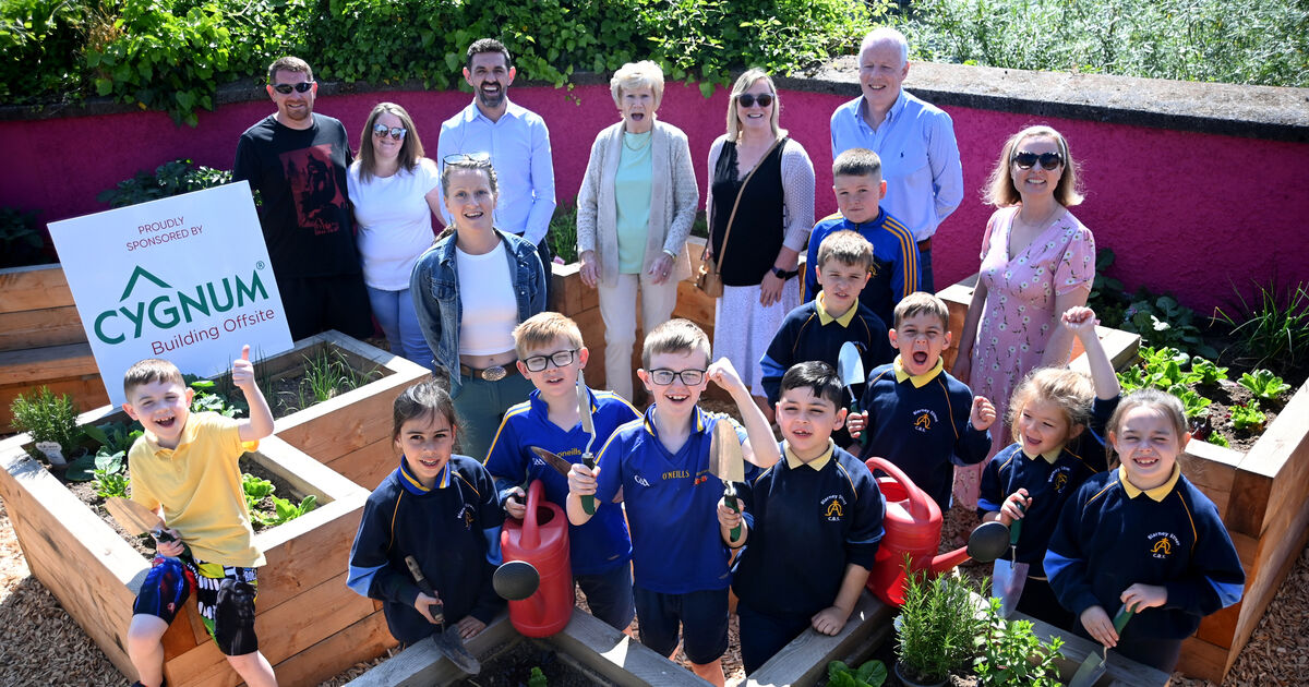 Cork school sees months of work bloom brightly in new garden - Vimarsana News