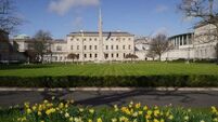 Teenager arrested over Leinster House 'trespass'
